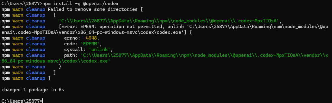 CLI 安装完成后的界面示意图